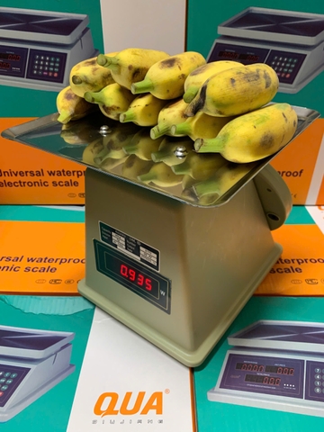 Cân Điện Tử Tính Tiền 60kg Q1 | Cân Bán Hàng, Thực Phẩm Chính Xác Cao