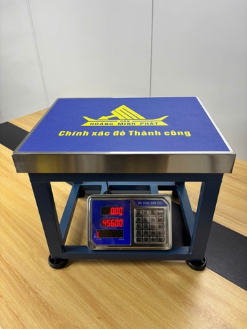 Cân ghế điện tử 350KG HM6 - CÂN HOÀNG MINH PHÁT