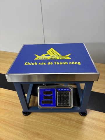 Cân ghế điện tử 350KG HM6 - CÂN HOÀNG MINH PHÁT