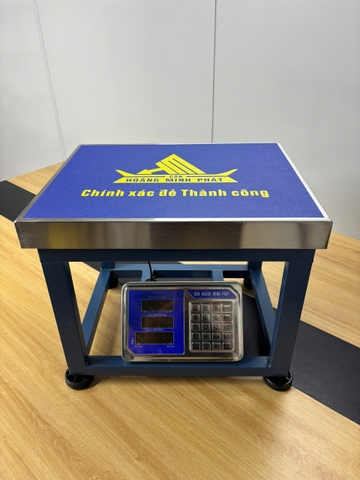 Cân ghế điện tử 350KG HM6 - CÂN HOÀNG MINH PHÁT