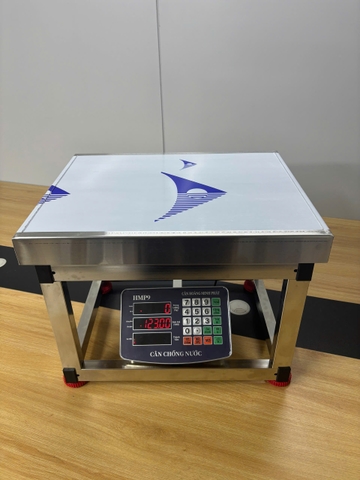 Cân Ghế Điện Tử 350kg INOX HMP9 | Chống Nước | Cân Hàng Hóa, Nông Sản | Hoàng Minh Phát