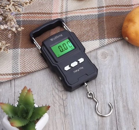 Cân điện tử cầm tay WH-A22 75KG. Kèm thước đó 1m, Độ Chính Xác Cao. Cân tiện lợi