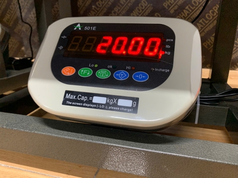 Cân ghế điện tử 100KG A501E