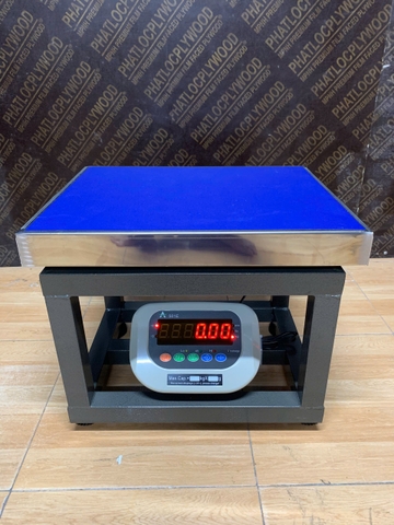 Cân ghế điện tử 500KG A501E
