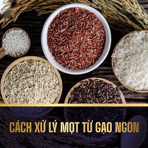 Cách Bảo Quản Gạo Lứt Không Bị Mọt Hiệu Quả