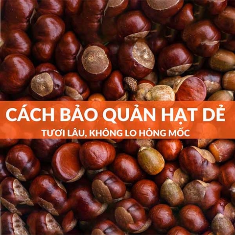 Cách Bảo Quản Hạt Dẻ Tươi Lâu Không Bị Hỏng