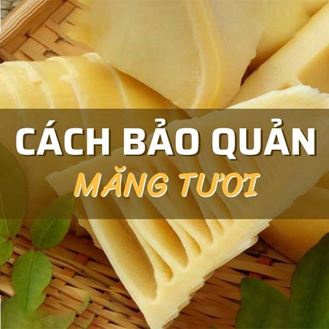 Cách Bảo Quản Măng Tươi Lâu Giữ Được Độ Giòn Ngon