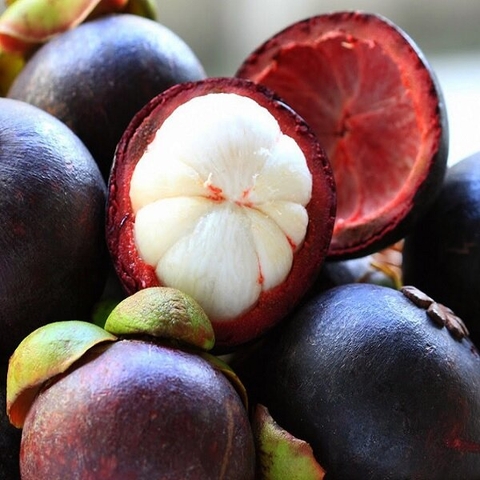 Cách Bảo Quản Măng Cụt Giữ Nguyên Độ Tươi Ngon