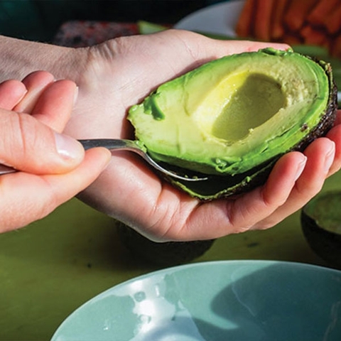 Cách Bảo Quản Bơ Xanh Để Lâu Chín Và Giữ Được Độ Tươi