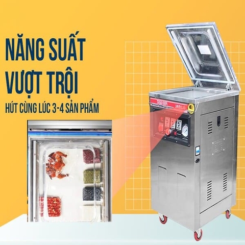 Máy Hút Chân Không DZQ 400 Promax