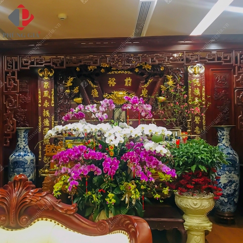 Anh Tuấn - Ba Đình, HN