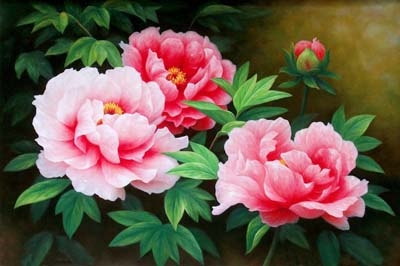 Ý Nghĩa Hoa Mẫu Đơn - Biểu Tượng Của Sự Giầu Sang, Phú Quý