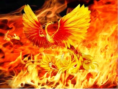 Ý Nghĩa Hình Ảnh Chim Phượng Hoàng Trong Văn Hóa Tín Ngưỡng