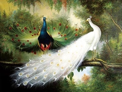 Ý Nghĩa Cảnh Vẽ Vợ Chồng Chim Công