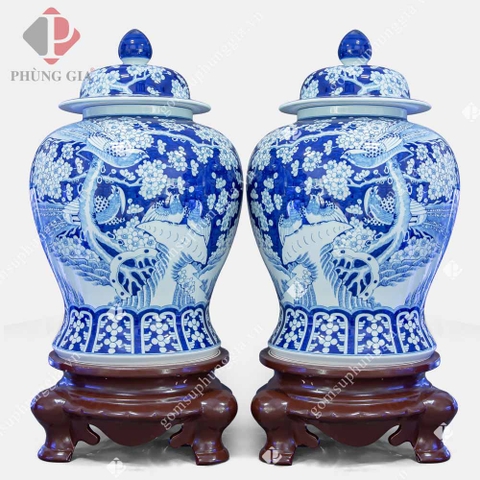 Chim Hoa lơ băng - Trắng xanh