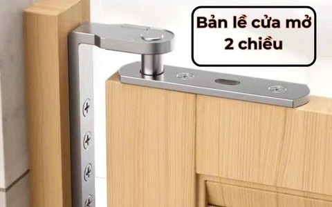 TD194- Bản lề trục xoay tự đóng