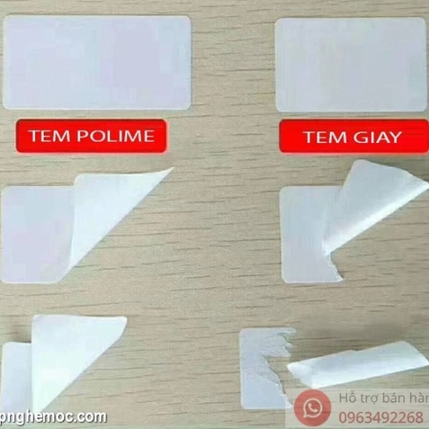 CNC29 -Tem polyme