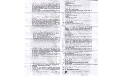 Telmisartan Stella 40 mg