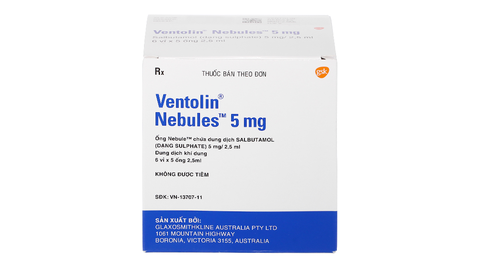 Ventolin Nebules 5mg