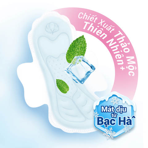 Băng vệ sinh Molped Mát lạnh Icy Cool siêu mỏng cánh