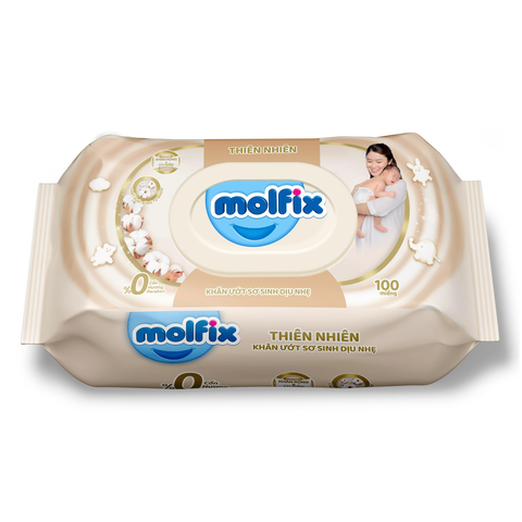 Khăn ướt Molfix H/100