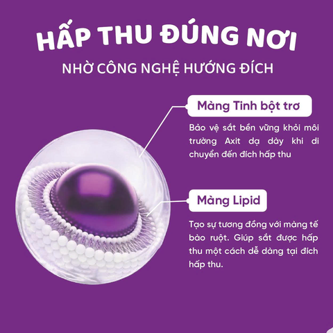 Bestifer Capsules H/30 viên