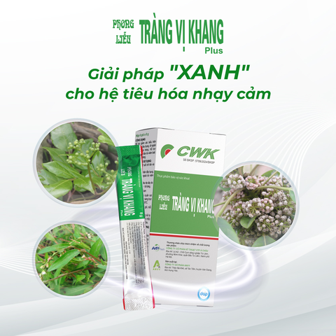 Phong liễu Tràng Vị Khang Plus