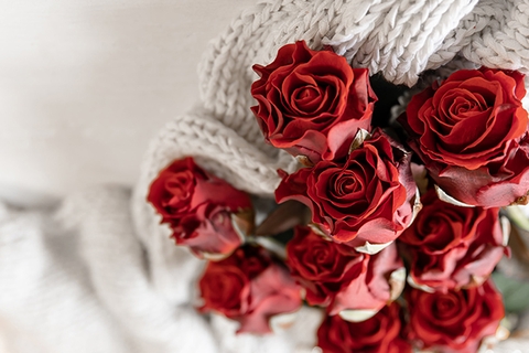 Ý nghĩa hoa hồng trong ngày kỷ niệm, ngày lễ tình nhân