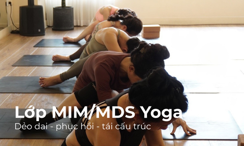 Lớp MIM/MDS Yoga – Phục hồi, dẻo dai và tái cấu trúc hệ vận động từ gốc