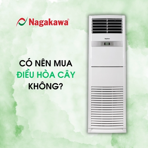 Có nên mua điều hòa cây không?