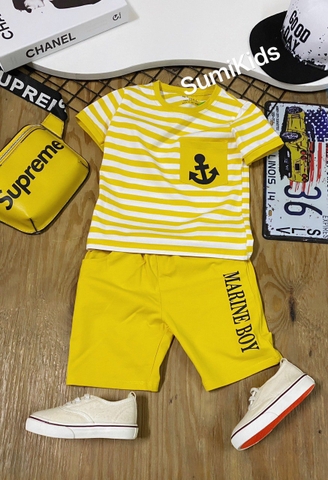 006 BT Bộ vai sọc mỏ neo nhí