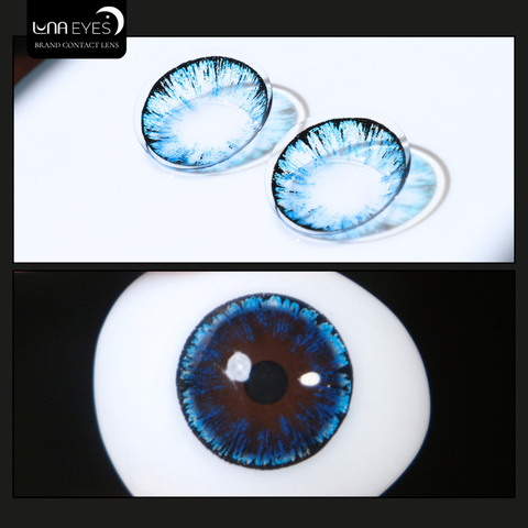 (quà tặng) 062 BLUE - size to