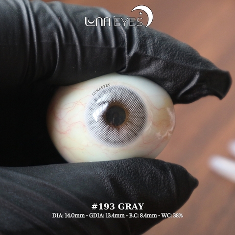 (Luna Eyes) 193 GRAY - size nhỏ