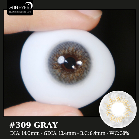 (quà tặng) 309 GRAY - size vừa