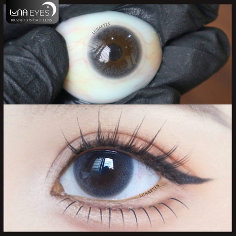 (Luna Eyes) 428 GRAY - Size nhỏ
