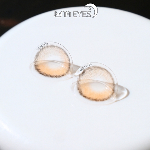 (quà tặng) 434 BROWN - size nhỏ