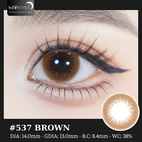 (quà tặng) 537 BROWN - size nhỏ