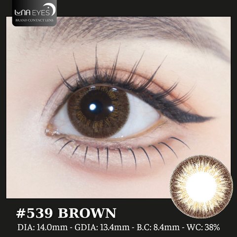 (quà tặng) 539 BROWN - size nhỏ