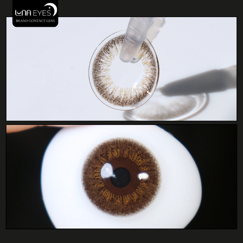 (quà tặng) 539 BROWN - size nhỏ