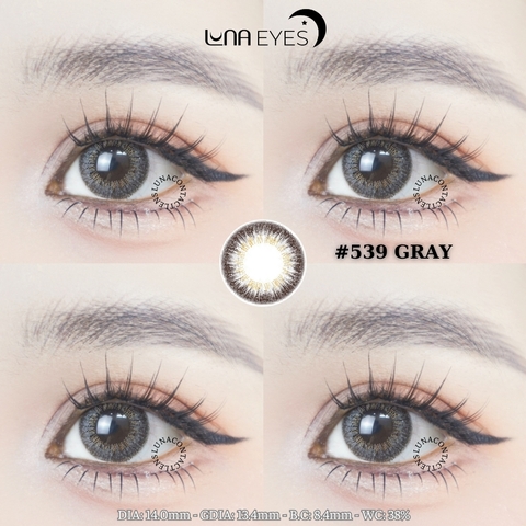 539 GRAY - size nhỏ