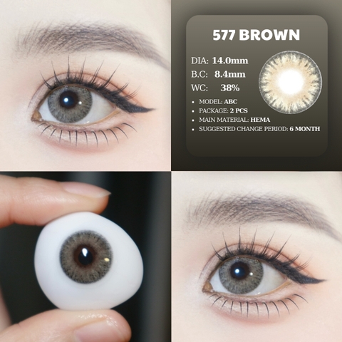 PP FC-304 GRAY - size vừa