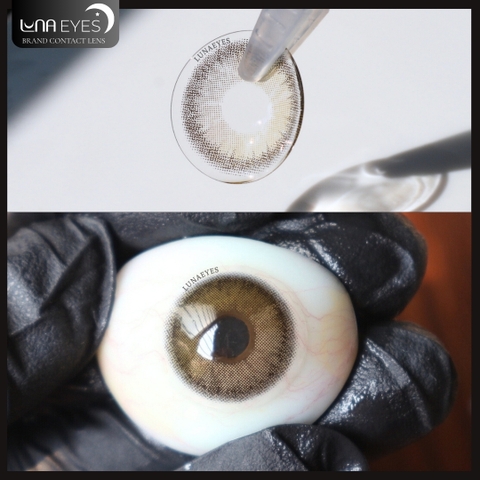 (quà tặng) 619 BROWN - size nhỏ