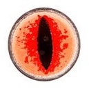 LENS cosplay + halloween (Kính áp tròng Maxiy Girl)