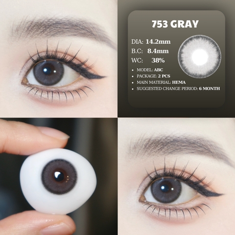 PP 753 GRAY - size vừa