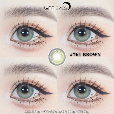 (quà tặng) 761 BROWN - size to