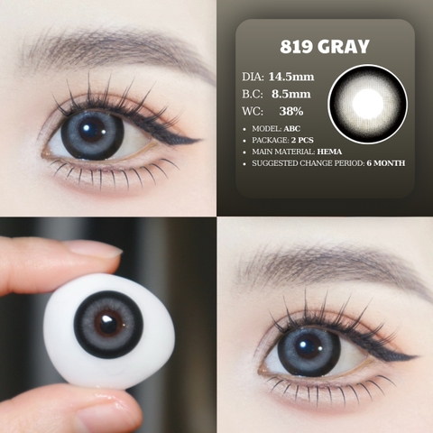 PP 819 GRAY - size lớn
