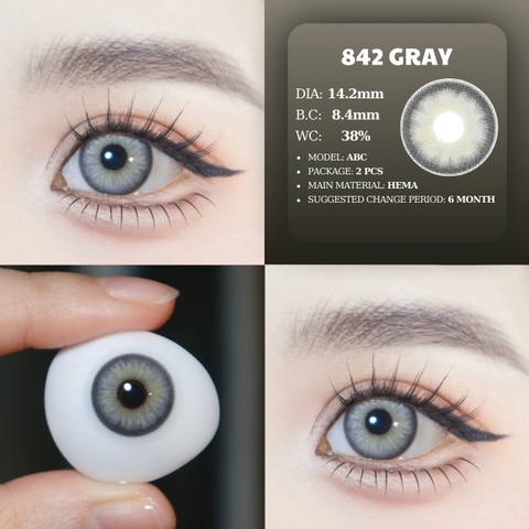 PP 842 GRAY - size vừa
