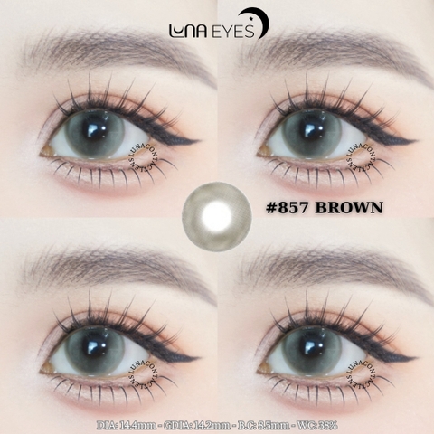 (Luna Eyes) 857 BROWN - size lớn
