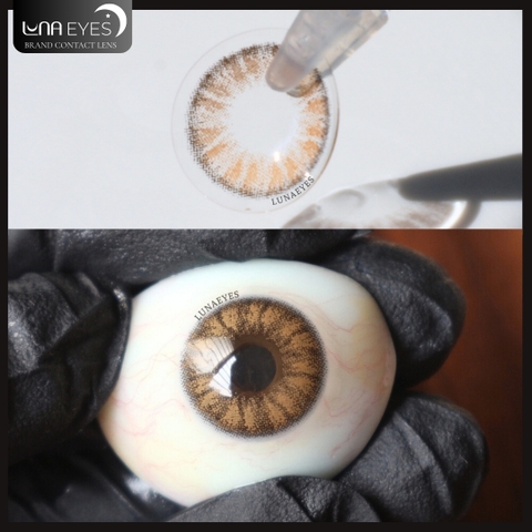 (quà tặng) B215 BROWN - size nhỏ