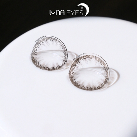 B317 GRAY - size vừa